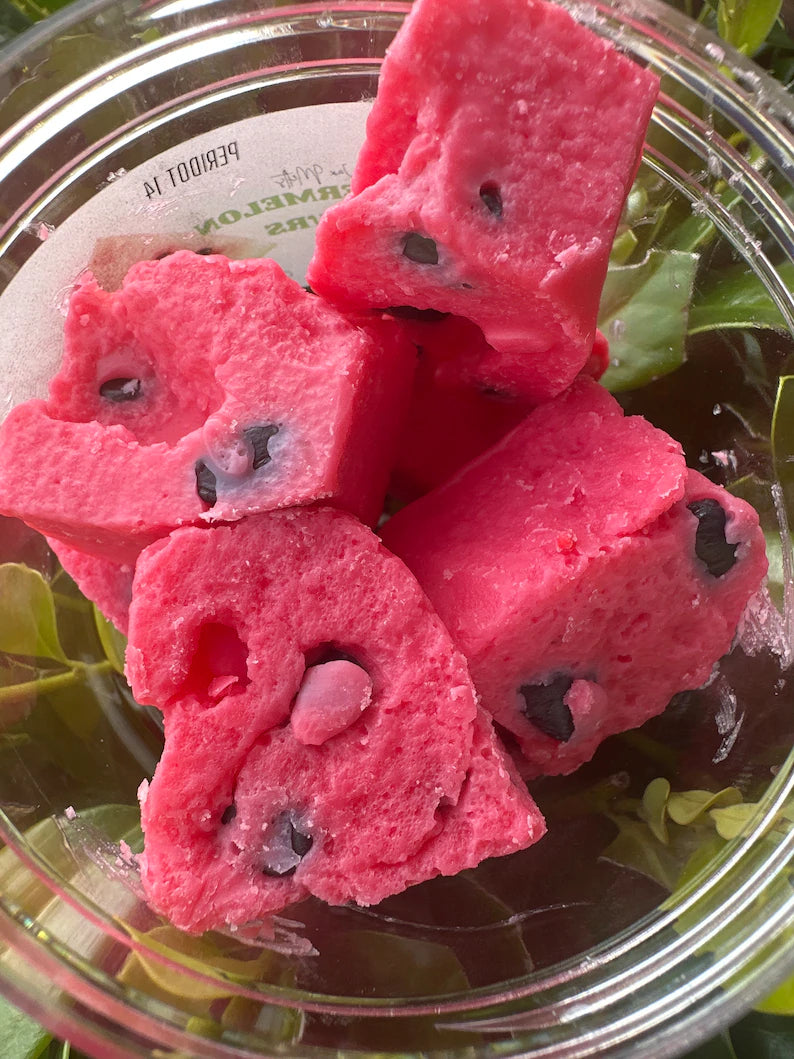 Watermelon Sours Wax Melt